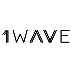 1Wave.jpg