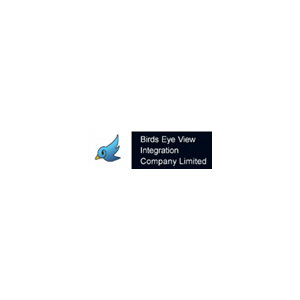 Birds Eye View Integration Co., Ltd. Logo
